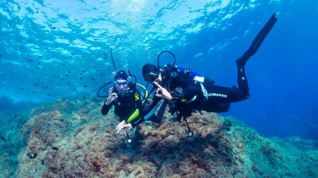 Plongée sous-marine à Argelès-sur-Mer - Crédits photo : Office de Tourisme Intercommunal Pyrénées Méditerranée