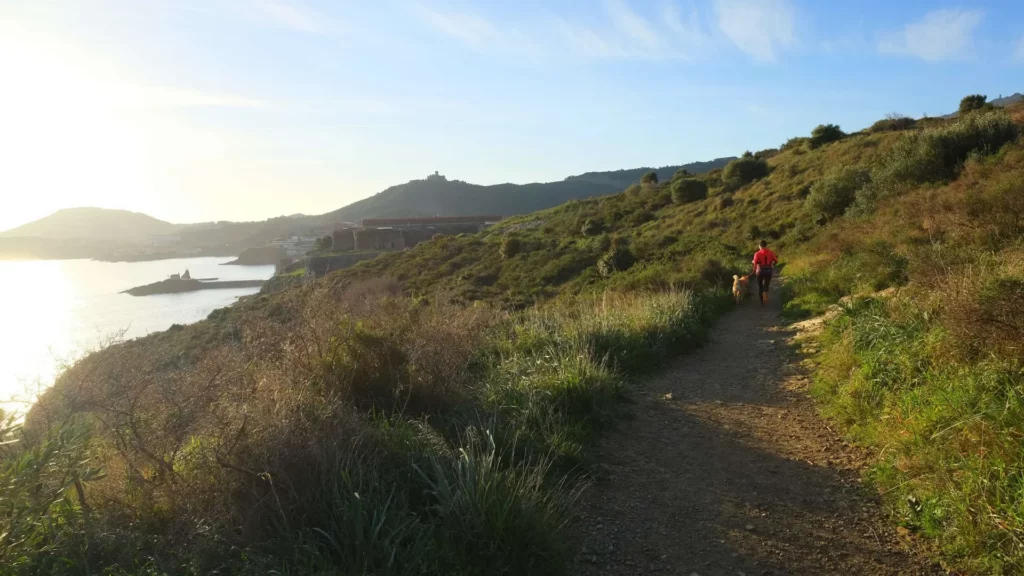 Le Sentier Littoral : De la Plage du Racou à Collioure