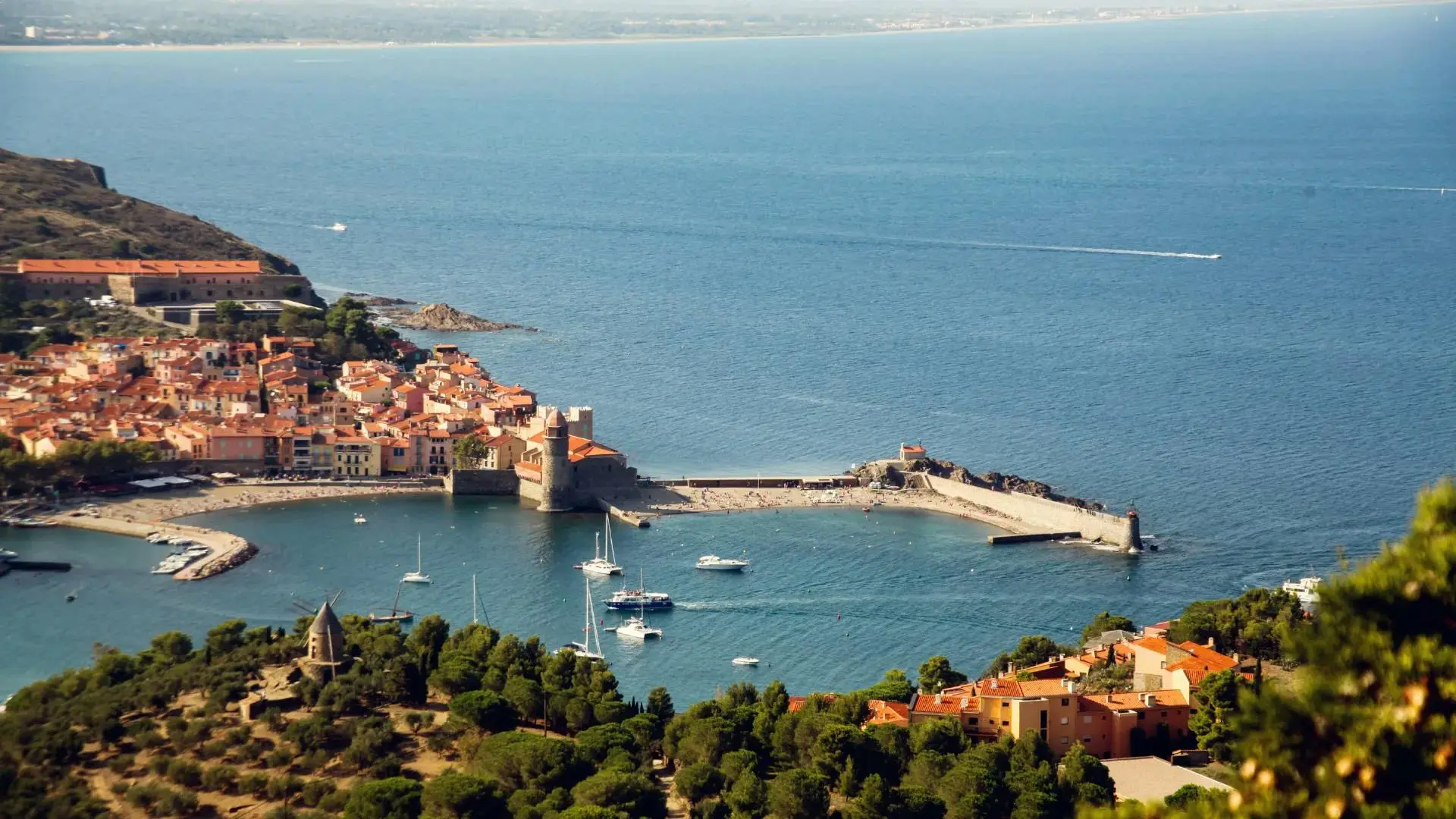 Collioure, trésor de la Côte Vermeille : balades, détente et plaisirs gourmands